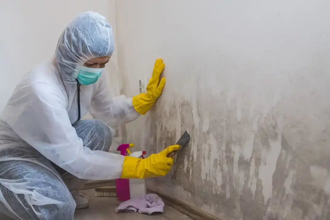 water damage restoration service North Loop